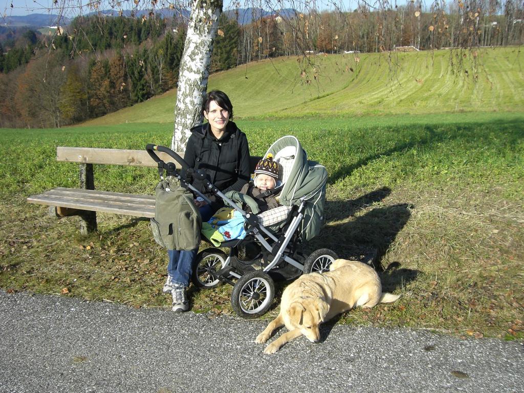 Kirchenwirt Inn Kreuzen  エクステリア 写真