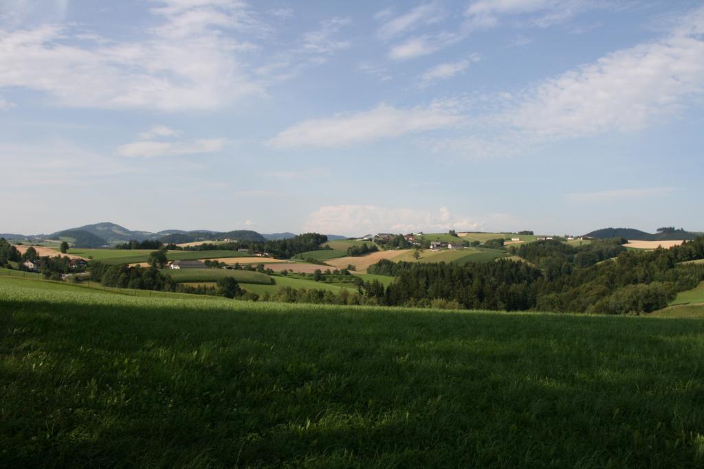 Kirchenwirt Inn Kreuzen  エクステリア 写真